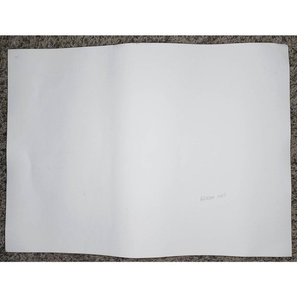 Pat McManus Grizzly Bear Mom Cubs Art Print Numbered Signed Limited Edition - Picture 5 of 6